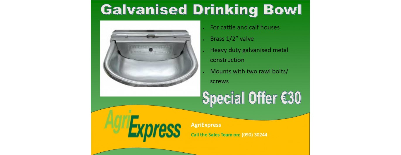 Galvanised Drinking Bowl
